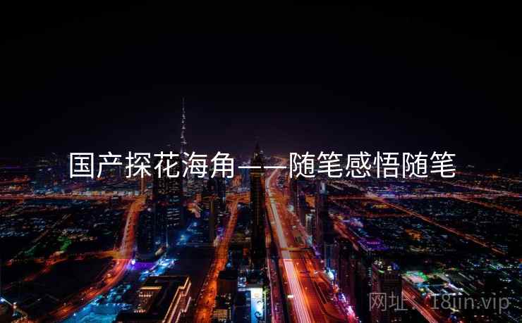 国产探花海角——随笔感悟随笔