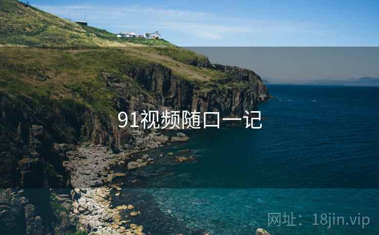 91视频随口一记