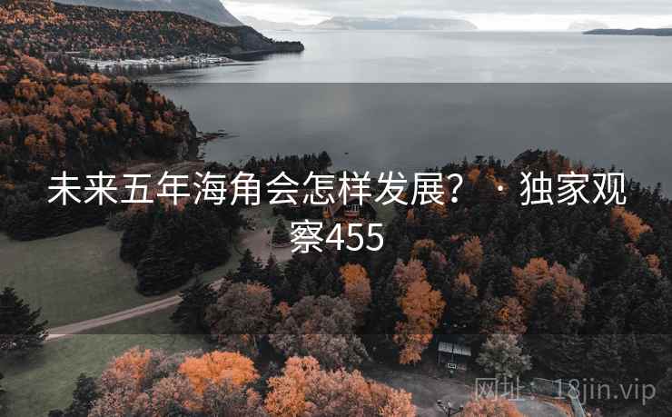 未来五年海角会怎样发展? · 独家观察455