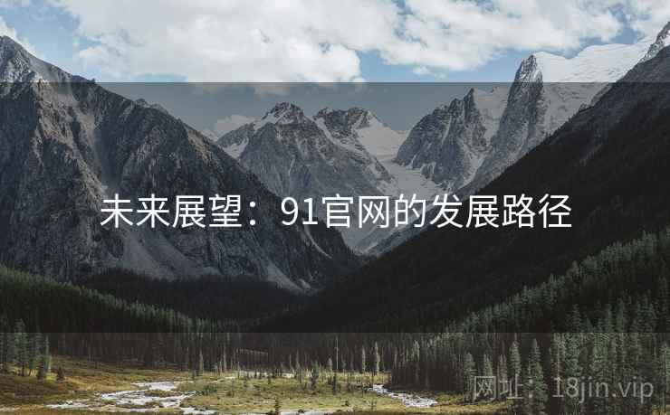 未来展望:91官网的发展路径