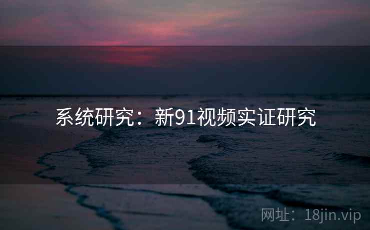 系统研究:新91视频实证研究