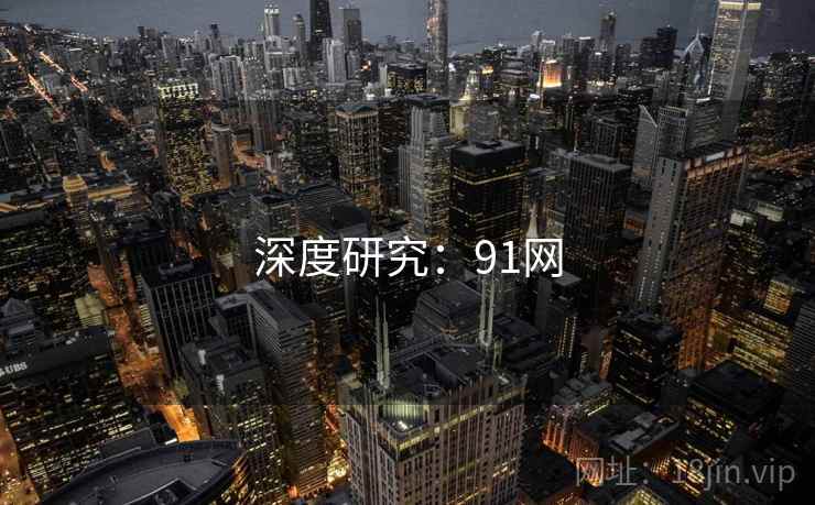 深度研究:91网