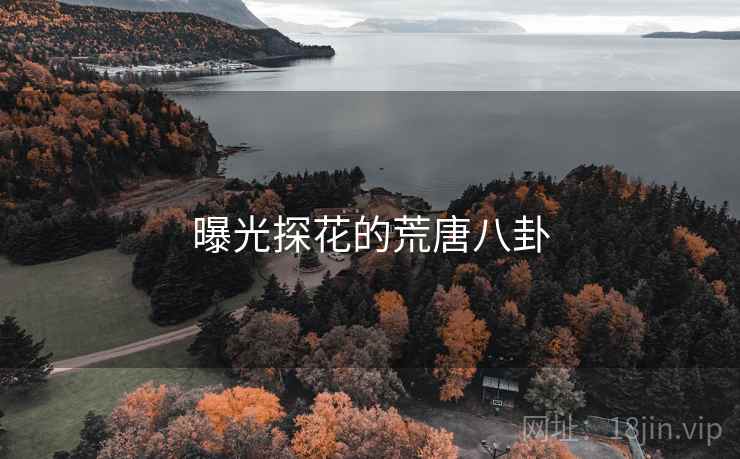 曝光探花的荒唐八卦