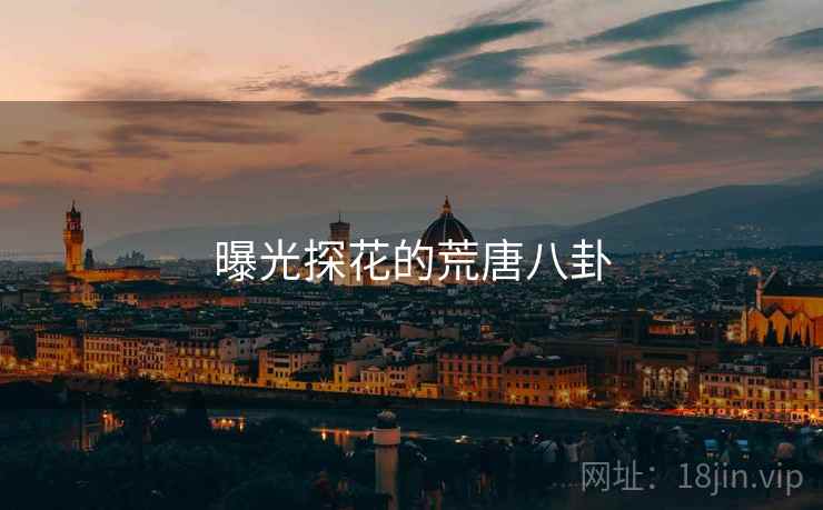 曝光探花的荒唐八卦