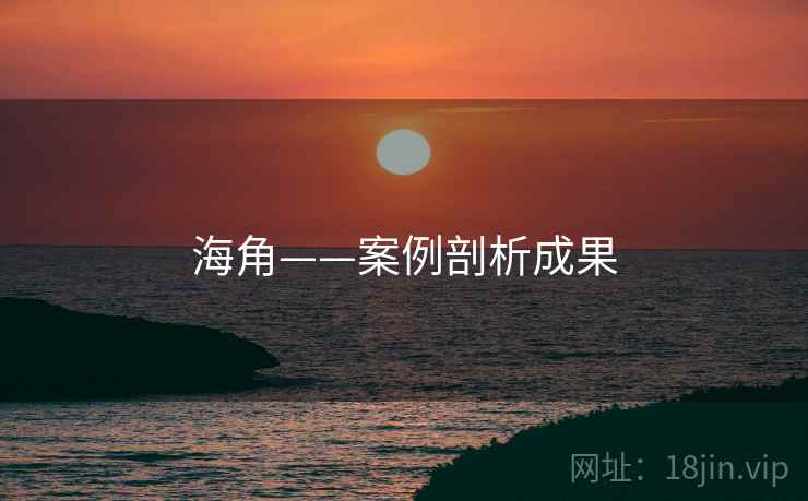 海角——案例剖析成果