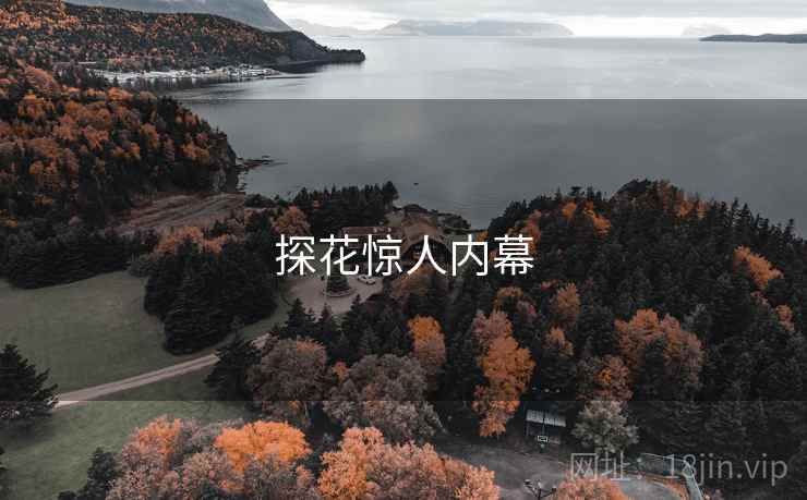 探花惊人内幕