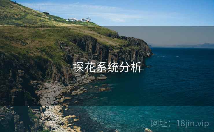 探花系统分析