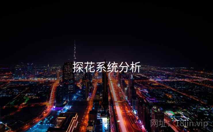 探花系统分析