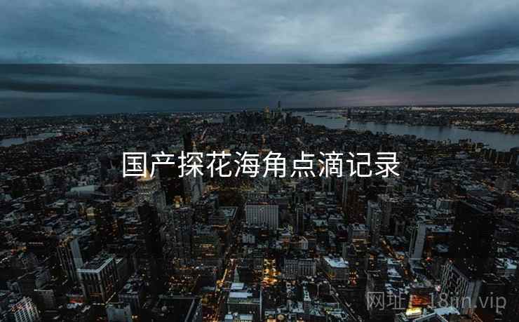 国产探花海角点滴记录