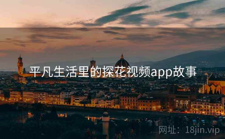 平凡生活里的探花视频app故事