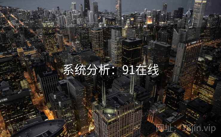 系统分析：91在线