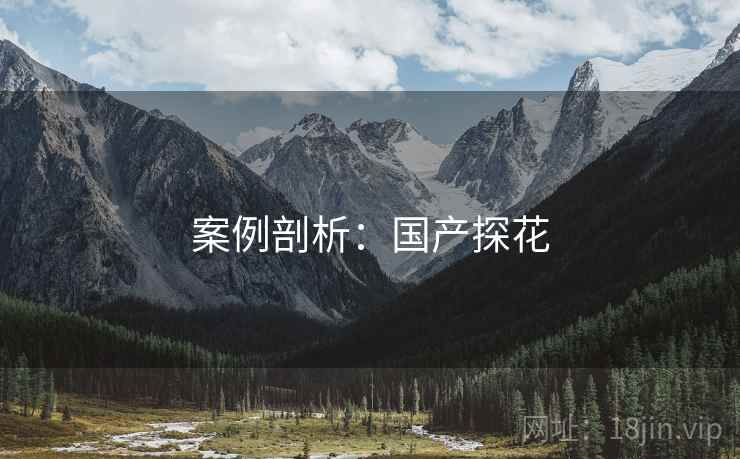 案例剖析：国产探花