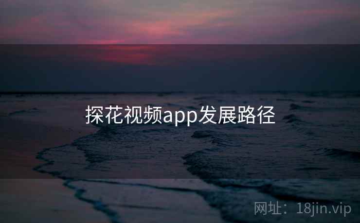 探花视频app发展路径
