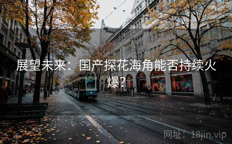 展望未来：国产探花海角能否持续火爆？