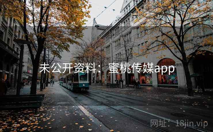 未公开资料:蜜桃传媒app