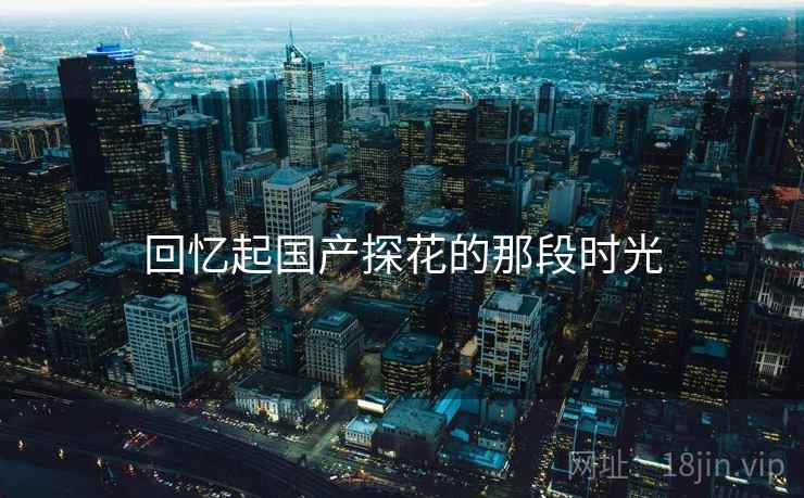 回忆起国产探花的那段时光