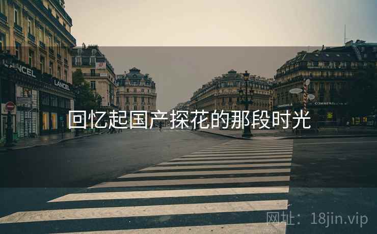 回忆起国产探花的那段时光