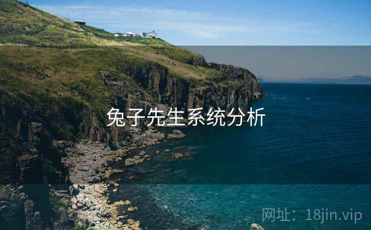 详细阅读:兔子先生系统分析 兔子先生系统分析