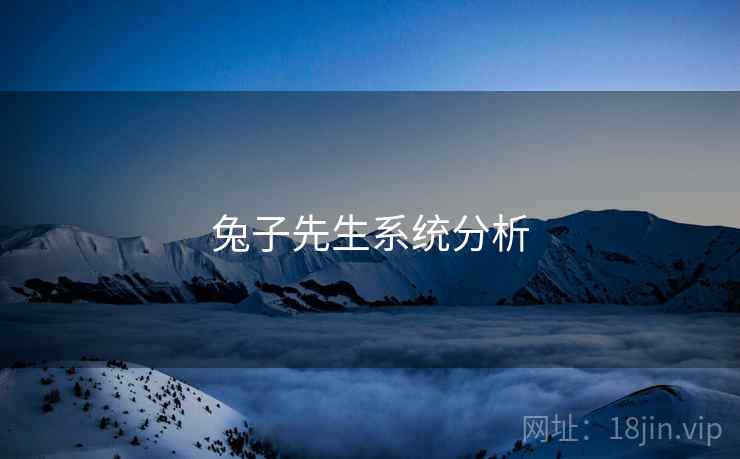 兔子先生系统分析