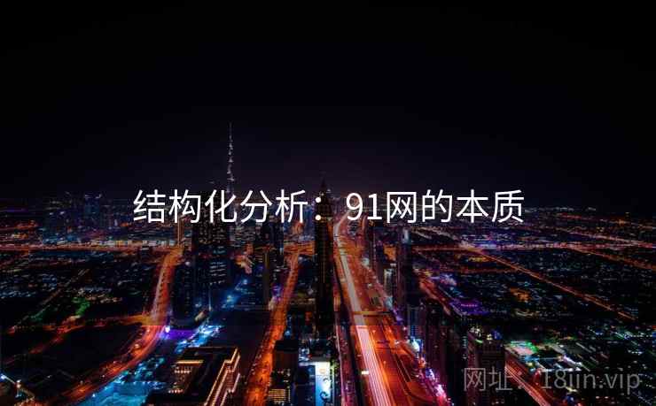结构化分析:91网的本质