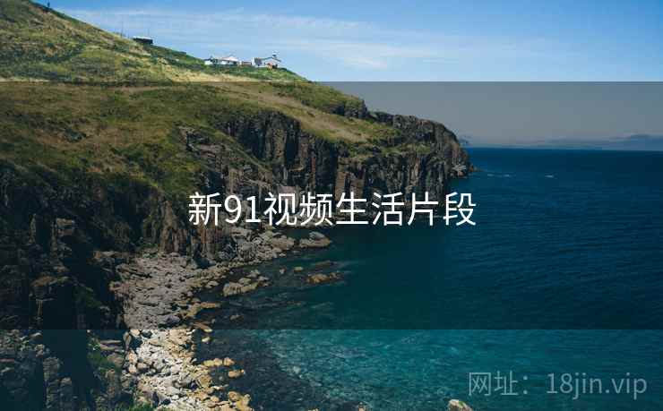 新91视频生活片段