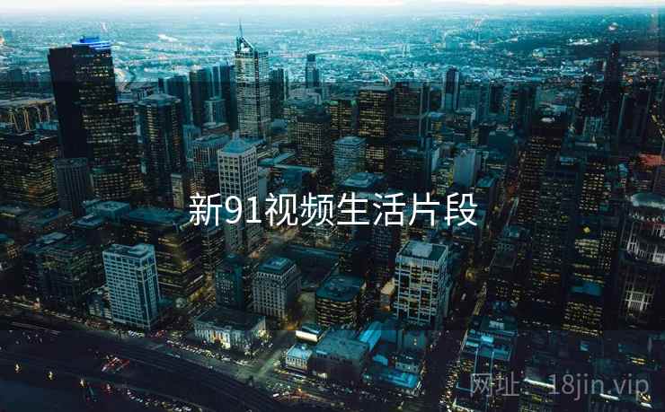 新91视频生活片段