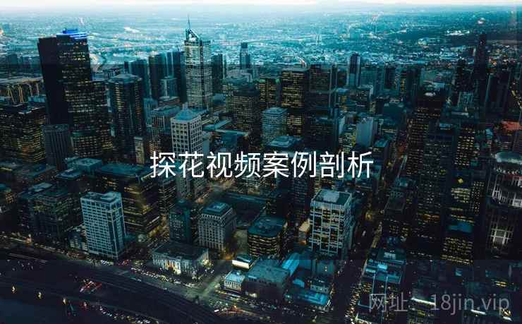 探花视频案例剖析