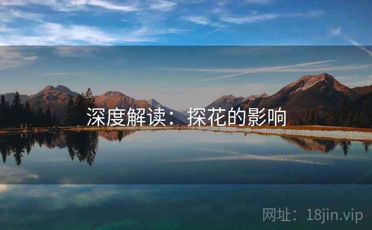 深度解读:探花的影响