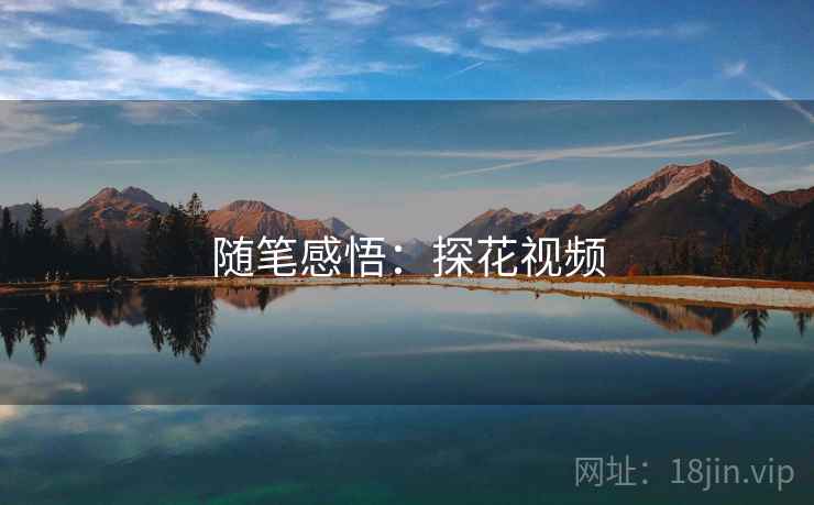 随笔感悟:探花视频